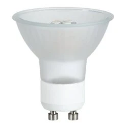 Paulmann Ampoule LED Maiflood