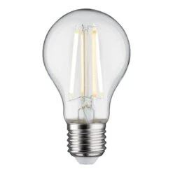 Paulmann Ampoule LED Thuir III