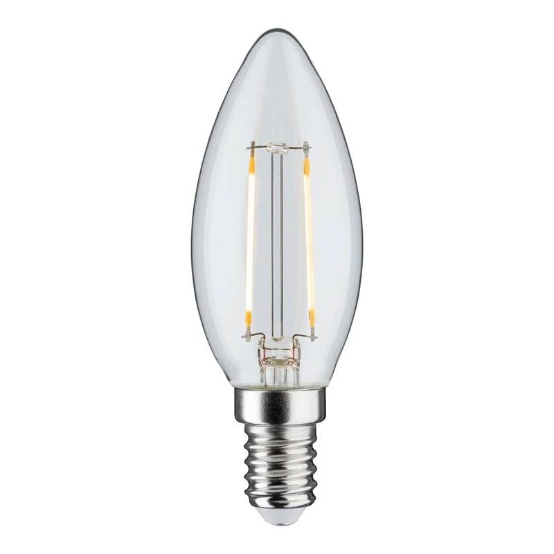 Paulmann Ampoule LED Roiffe 1 Paulmann Ampoule LED Roiffe