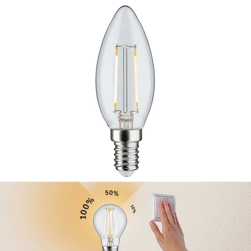 Paulmann Ampoule LED Roiffe 3 Paulmann Ampoule LED Roiffe – Image 3