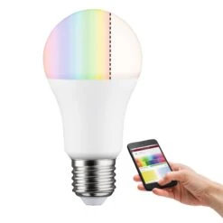 Paulmann Ampoule LED Tanis 5 Paulmann Ampoule LED Tanis -Lumea Boutique 1000231944 201120 16071100279 DETAILS P000000001000231944