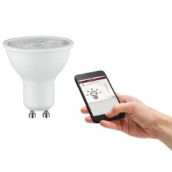 Paulmann Ampoule LED Terce -Lumea Boutique 1000231952 201120 16071200291 DETAILS P000000001000231952