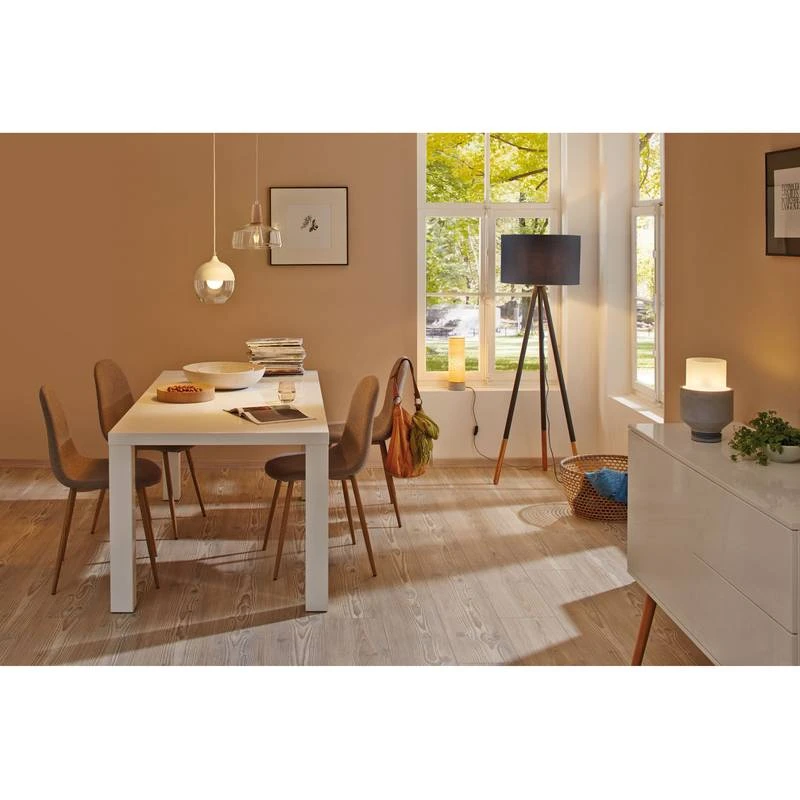 Paulmann Ampoules LED Jester (lot De 3) 4 Paulmann Ampoules LED Jester (lot De 3) – Image 4