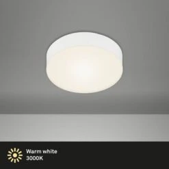 Plafonnier Flame I -Lumea Boutique 1000279301 210810 15184200037 DETAILS P000000001000279301