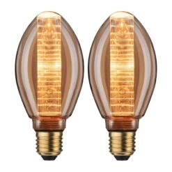 Paulmann Ampoules LED Eylau (lot De 2)