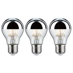 Paulmann Ampoules LED Demilla (lot De 3)