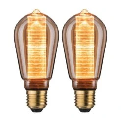 Paulmann Ampoules LED Denlou (lot De 2)