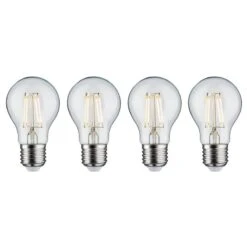 Paulmann Ampoules LED Kiwi (lot De 4)