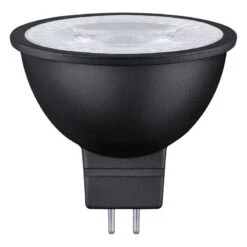 Paulmann Ampoule LED Eulo