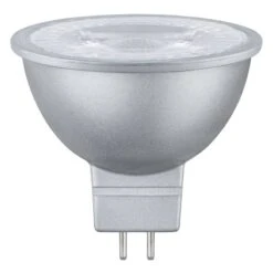 Paulmann Ampoule LED Duba