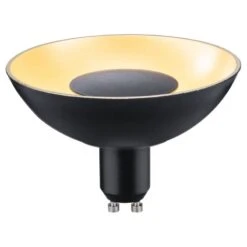 Paulmann Ampoule LED Chodes I