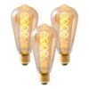 Ampoules LED Dilly III (lot De 3)