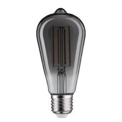 Paulmann Ampoule LED Maxmo -Lumea Boutique 1000316693 220104 14160400084 DETAILS P000000001000316693