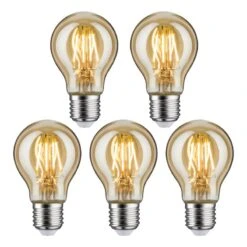 Paulmann Ampoules LED (lot De 5)
