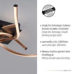 Plafonnier LED Polina - Type B -Lumea Boutique 1000404525 230919 060 DETAILS P000000001000404525