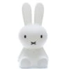 Mr. Maria Lampe Miffy L