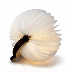 OOBOOK Mini Jungle Tigre -Lumea Boutique 5ca725b25d5c46c987ca43deeff28241