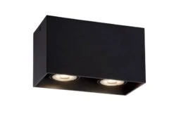 BODI - Spot Plafond